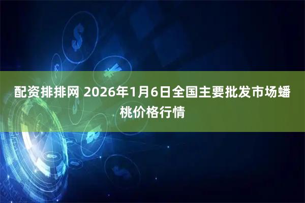 配资排排网 2026年1月6日全国主要批发市场蟠桃价格行情